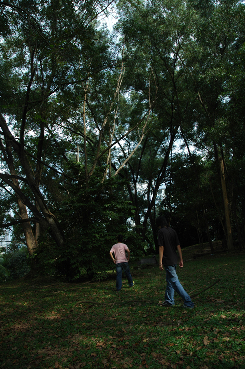 dsc_4877_s.jpg