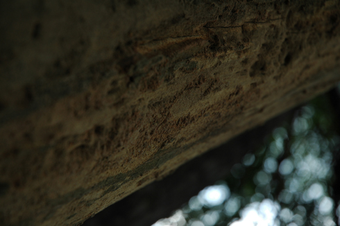 dsc_4882_s.jpg