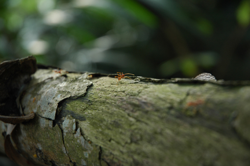 dsc_4886_s.jpg
