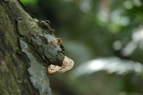 dsc_4888_s.jpg