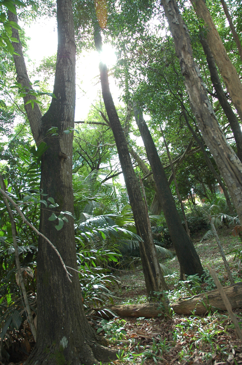 dsc_4890_s.jpg