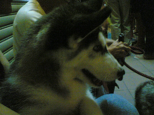 image1278.jpg