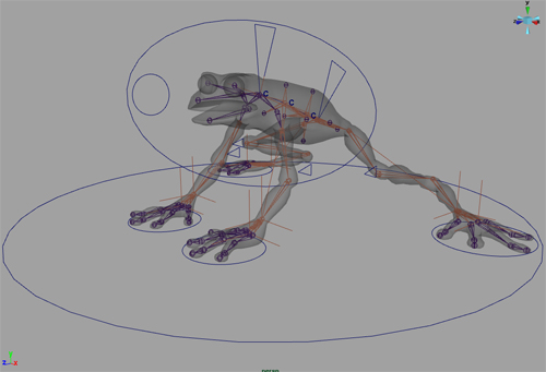 frog_rigging_b.JPG