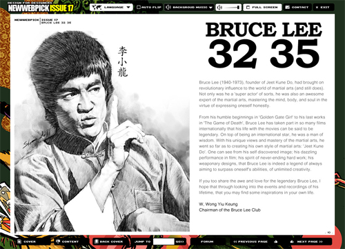 newwebpickissue17.JPG