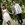 Wedding photo