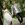 Wedding photo