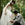 Wedding photo