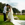 Wedding photo