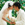 Wedding photo