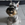Bosco photo
