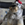 Bosco photo