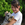 Bosco photo
