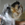 Bosco photo
