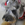 Bosco photo