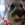Bosco photo