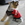 Bosco photo