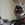 Bosco photo