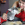 Bosco photo