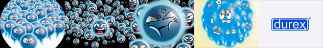 ToonBoom Animation