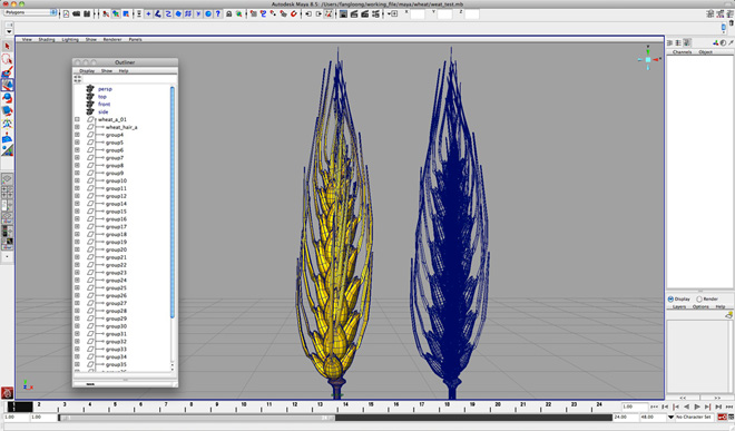  3D Wheat Design 