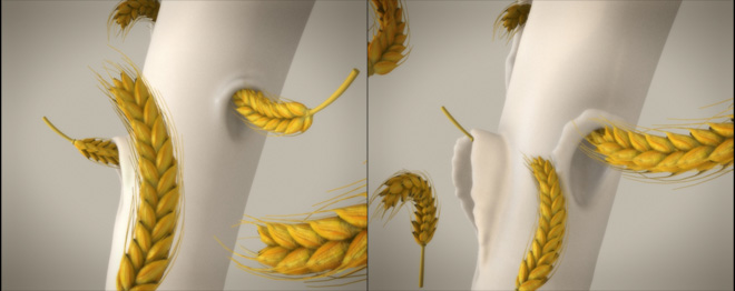  3D Wheat Simulation shoot 